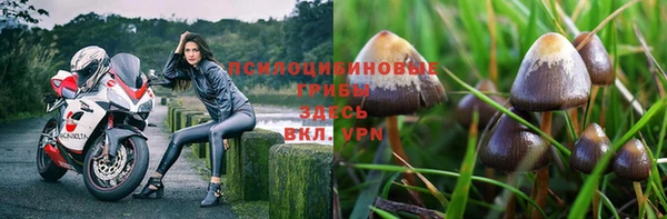 первитин Богородск