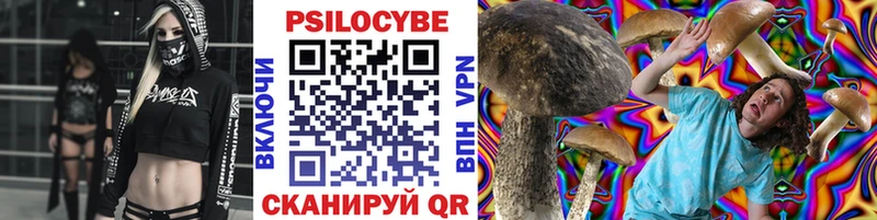 Галлюциногенные грибы Psilocybe  Купить закладки  Тулун 